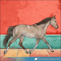 Horse Color:Liver Red Dun Tobiano Rabicano 