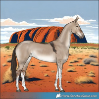 Horse Color:White Spotted Liver Red Dun Tobiano 