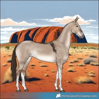 Horse Color:White Spotted Liver Red Dun Tobiano 