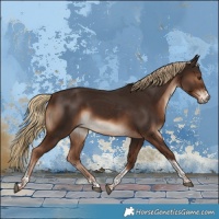 Horse Color:Liver Chestnut Sabino Tobiano