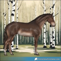 Horse Color:Liver Chestnut Tobiano Rabicano 