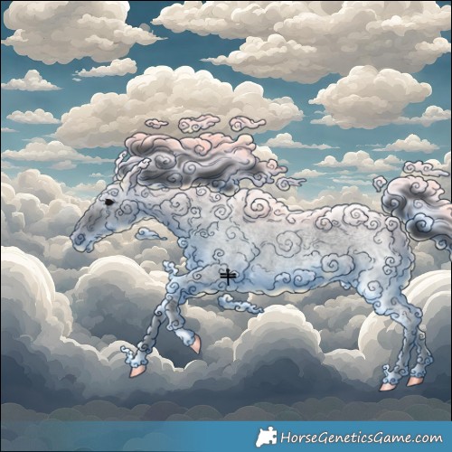 Horse Color:Blue Ice Roan 