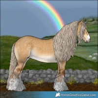 Horse Color:Gray Chocolate Palomino Dun 