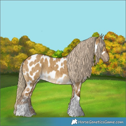 Horse Color:Chocolate Palomino Dun Tobiano Appaloosa Brindle 