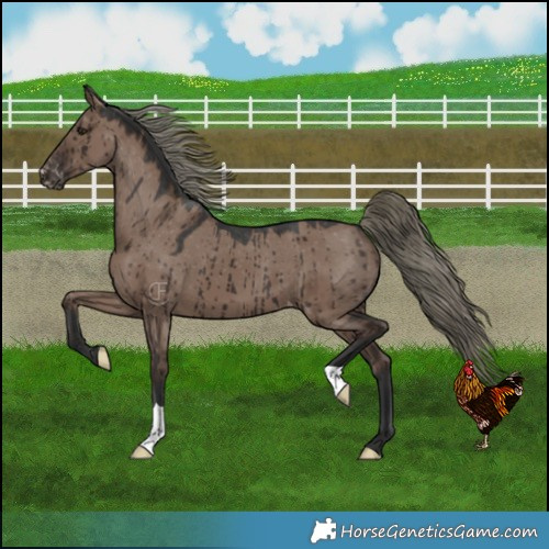 Horse Color:Liver Red Dun Mushroom Varnish Brindle 