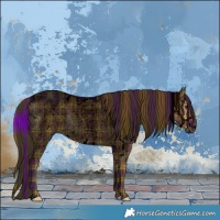 Horse Color:Void Plaid  White Spotted Liver Red Dun Roan Brindle 