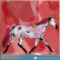 Horse Color:Void Watercolor White Spotted Liver Red Dun Onyx Brindle 