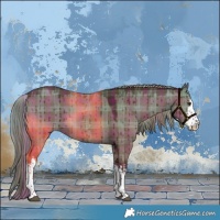 Horse Color:Plaid  White Spotted Liver Red Dun Brindle 