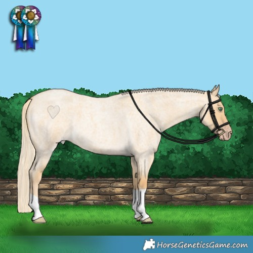 Horse Color:Gold Cream Champagne Roan Dun 