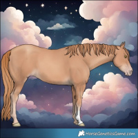 Horse Color:Gold Champagne 