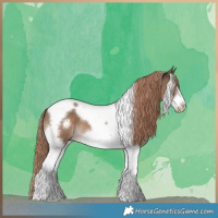 Horse Color:Liver Red Dun Tobiano Frame 
