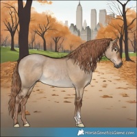 Horse Color:Gray Liver Red Dun Tobiano 
