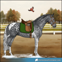 Horse Color:Silver Black Chinchilla Tobiano Rabicano 