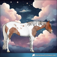 Horse Color:Silver Bay Roan Tobiano 