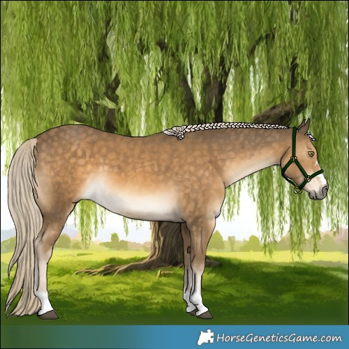 Horse Color:Chocolate Palomino Mushroom
