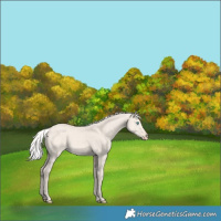 Horse Color:Silver Smoky Creme Dun 