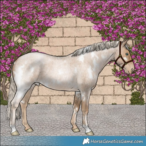 Horse Color:White Spotted Chocolate Palomino Roan Pearl 
