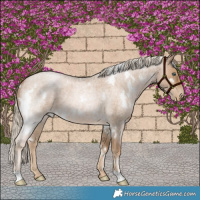 Horse Color:White Spotted Chocolate Palomino Roan Pearl