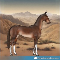 Horse Color:White Spotted Liver Chestnut 