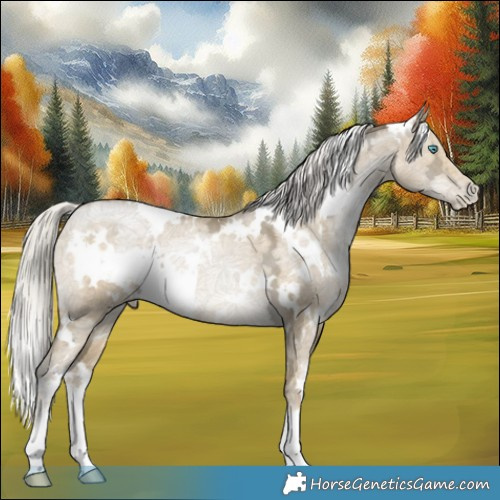 Horse Color:White Spotted Silver Buckskin Ice Pearl Dun 