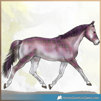 Horse Color:Plaid  Liver Red Onyx Tobiano 