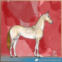 Horse Color:Plaid  Liver Red Dun Roan Onyx Tobiano Rabicano 