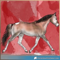 Horse Color:Plaid Liver Red Dun Onyx Tobiano Rabicano