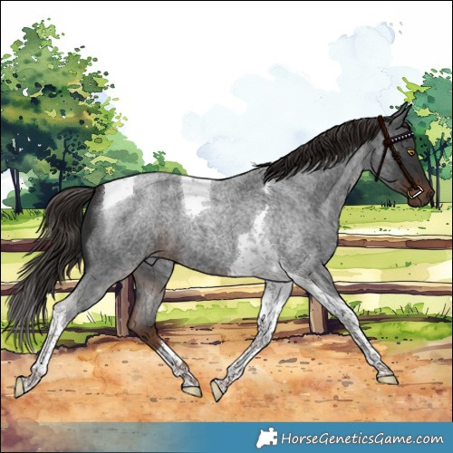 Horse Color:Liver Red Roan Tobiano