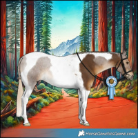 Horse Color:Chocolate Palomino Tobiano 