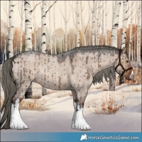Horse Color:White Spotted Liver Red Dun Roan Mushroom Rabicano Brindle 