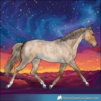 Horse Color:Chocolate Palomino Roan Dun Tobiano Brindle 