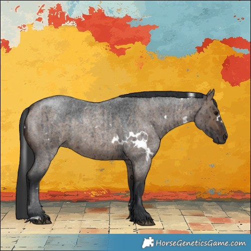 Horse Color:White Spotted Brown Roan Dun Brindle 