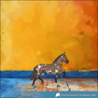 Horse Color:White Spotted Liver Red Dun 