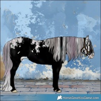 Horse Color:Plaid  White Spotted Liver Red Onyx Ice 