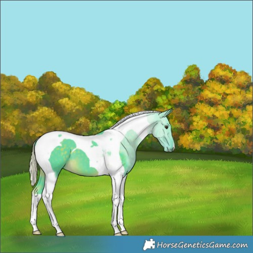 Horse Color:Watercolor Chocolate Palomino Tobiano 