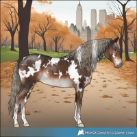 Horse Color:White Spotted Liver Chestnut Mushroom 