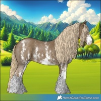 Horse Color:Chocolate Palomino Mushroom Sabino 