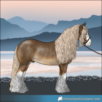 Horse Color:White Spotted Chocolate Palomino Mushroom Rabicano 