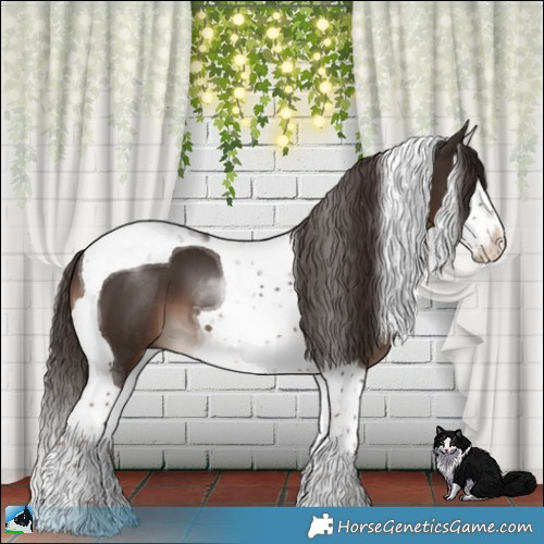 Horse Color:Liver Chestnut Splash Tobiano