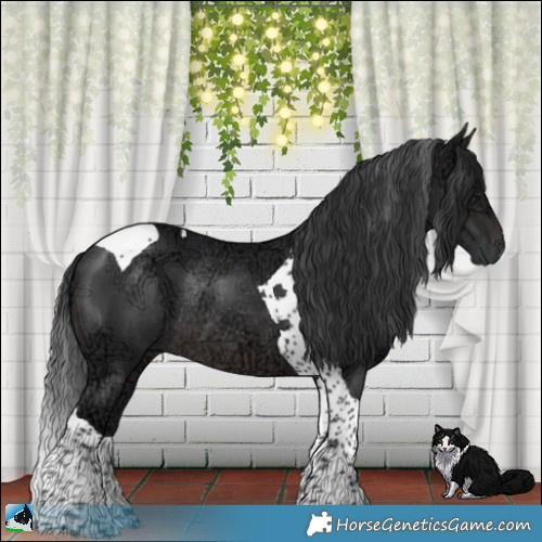 Horse Color:Brown Ice Tobiano Rabicano