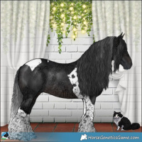 Horse Color:Brown Ice Tobiano Rabicano