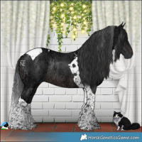 Horse Color:Brown Ice Tobiano Rabicano 
