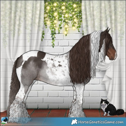 Horse Color:Liver Chestnut Tobiano Rabicano 