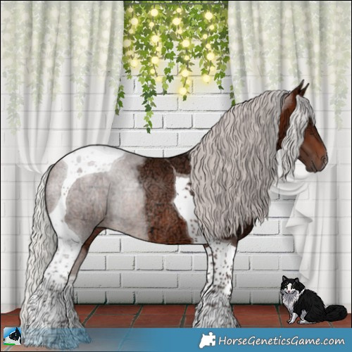 Horse Color:Silver Brown Ice Tobiano Rabicano