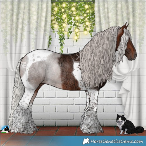 Horse Color:Silver Brown Ice Tobiano Rabicano