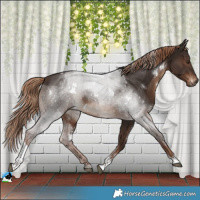 Horse Color:White Spotted Liver Chestnut Tobiano 