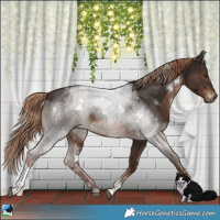 Horse Color:White Spotted Liver Chestnut Tobiano 