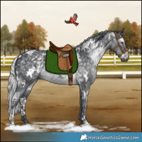 Horse Color:White Spotted Silver Black Chinchilla Ice 