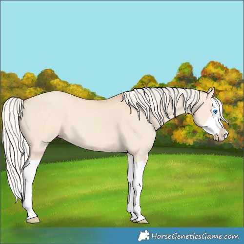 Horse Color:Silver Classic Champagne Dun Splash Frame 