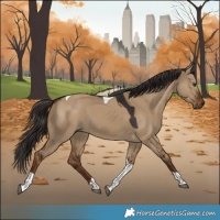 Horse Color:Gray Liver Red Dun Tobiano 